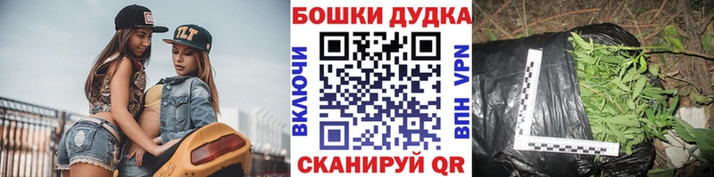 купить наркотик  Орехово-Зуево  darknet Telegram  Канабис сатива 